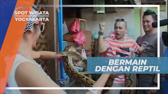 Selain Burung, Reptil Menjadi Hewan yang Laku di Pasar Burung Ngasem Yogyakarta