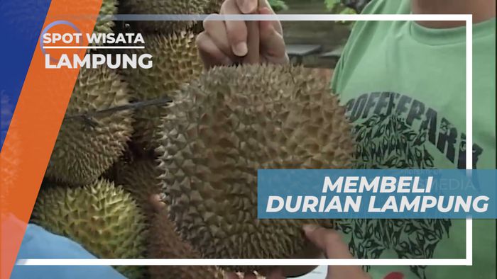 Membeli Durian Khas Lampung Dengan Cita Rasa Manis