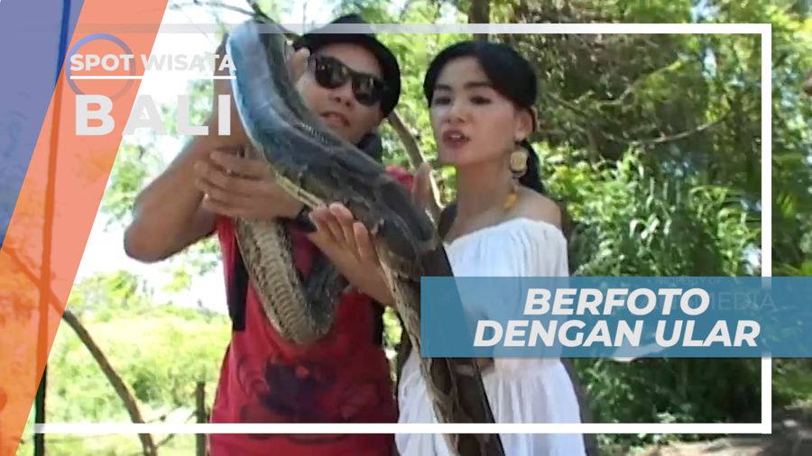 Uji Keberanian, Foto Bareng Ular, Bali