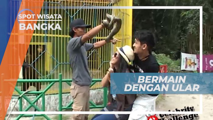 Berfoto dengan Ular, Menegangkan Sekaligus Menyenangkan, Bangka