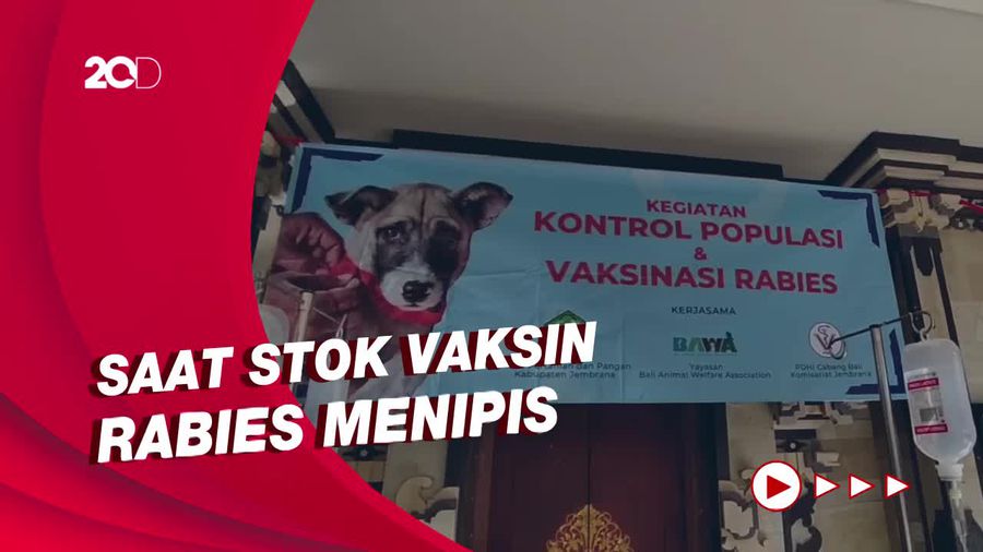 Cegah Penyebaran Rabies, Puluhan Anjing di Jembrana Disterilisasi