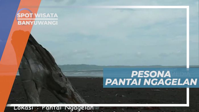 Pantai Ngagelan, Pemandangan Indah Setelah Melewati Hutan Alas Purwo, Banyuwangi