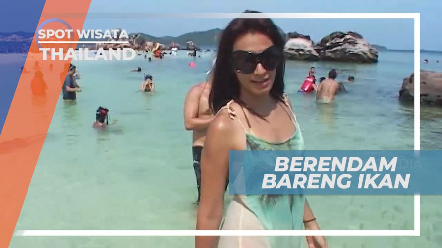 Kegiatan Seru Wisata di Thailand, Berendam Bareng Ikan