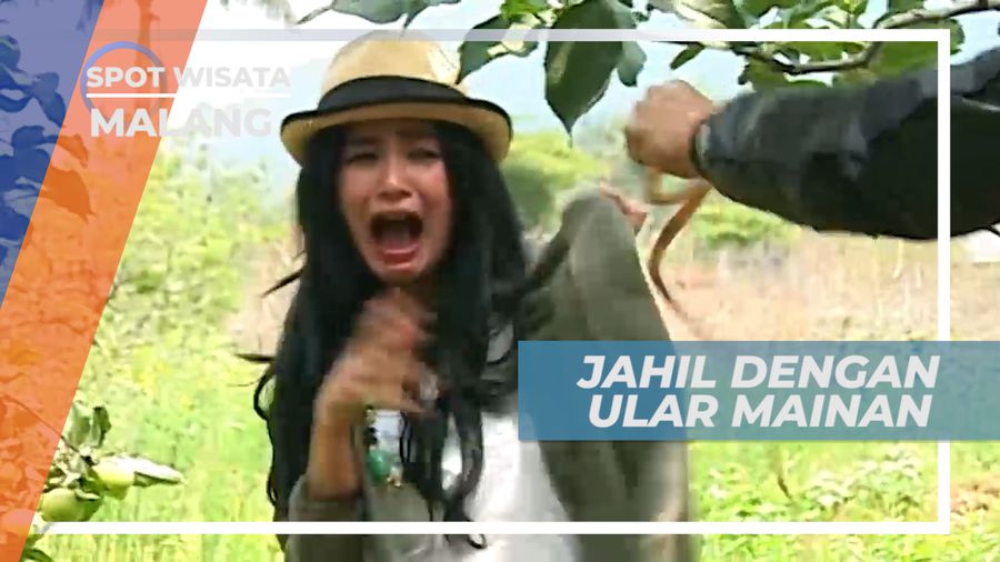 Seru-seruan Memetik Buah Apel Hijau di Agrowisata Kota Bunga, Malang