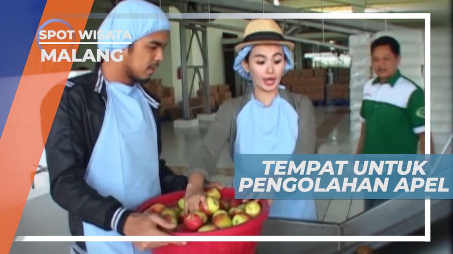 Mengunjungi Pabrik Pengolahan Buah Apel Menjadi Minuman Khas yang Menyehatkan, Malang