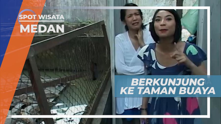 Taman Buaya, Mengunjungi Tempat Penangkaran Reptil Terbesar, Medan