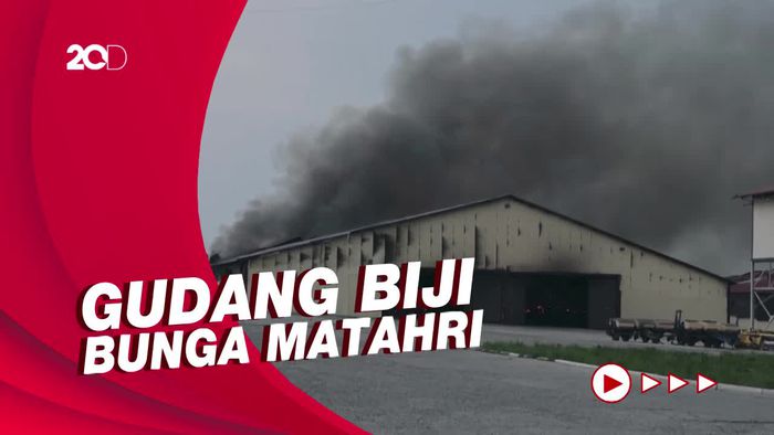 Rusia Gencarkan Serangan di Donetsk, Gudang Pangan Dihancurkan