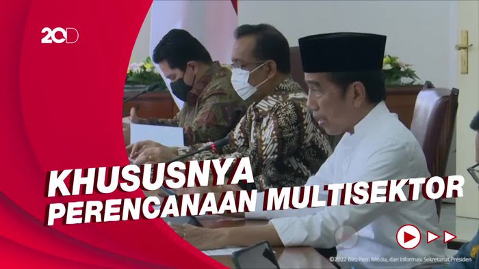 Jokowi Minta Pelaksanaan Pembangunan IKN Lebih Dimatangkan