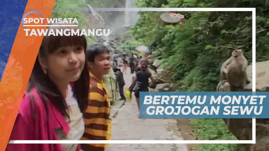 Monyet-monyet di Air Terjun Grojogan Sewu, Tawangmangu