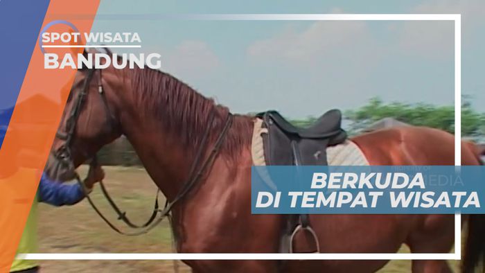 Berkuda di Tempat Wisata dengan Udara Sejuk Khas Bandung