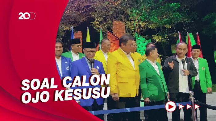 Ketum Projo Muncul di Silatnas KIB: Kami Spesialis Pilpres