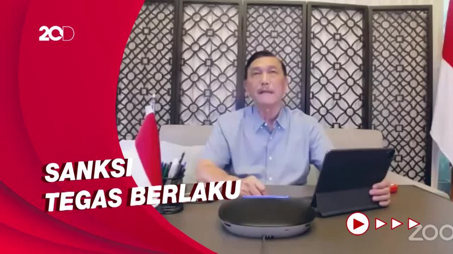 Bicara soal Aturan DPO dan DMO, Luhut Singgung Pengusaha Nakal