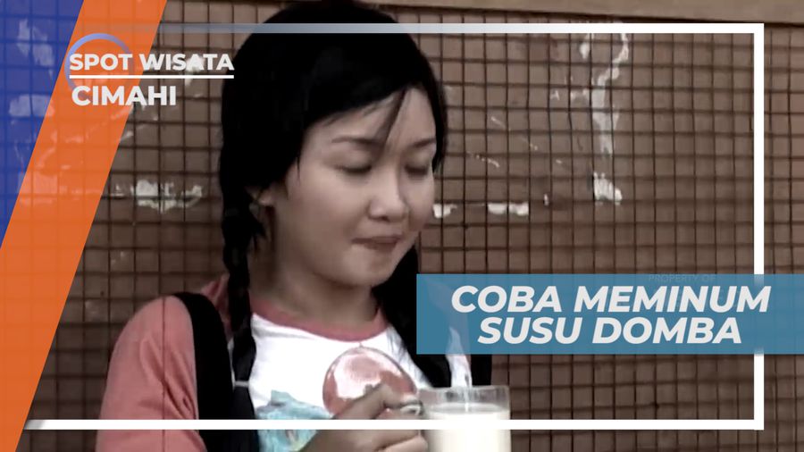 Hasil Perah Sendiri, Susu Domba Konon Kaya Manfaat, Cimahi