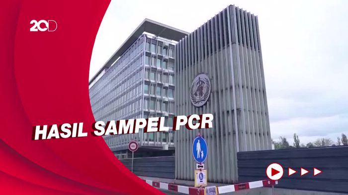 Temuan Terbaru WHO soal Kasus Cacar Monyet di Wilayah Non-Endemik