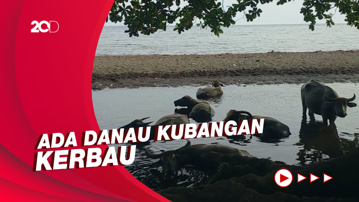 Keunikan Pantai Hodo, Tempat Singgah Jika Berlibur ke Tambora