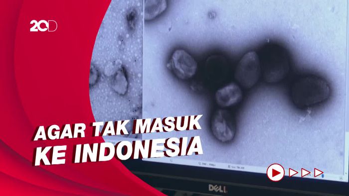 Cegah Cacar Monyet, Kemenkes Minta Pintu Masuk Internasional Waspada