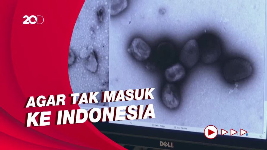 Cegah Cacar Monyet, Kemenkes Minta Pintu Masuk Internasional Waspada