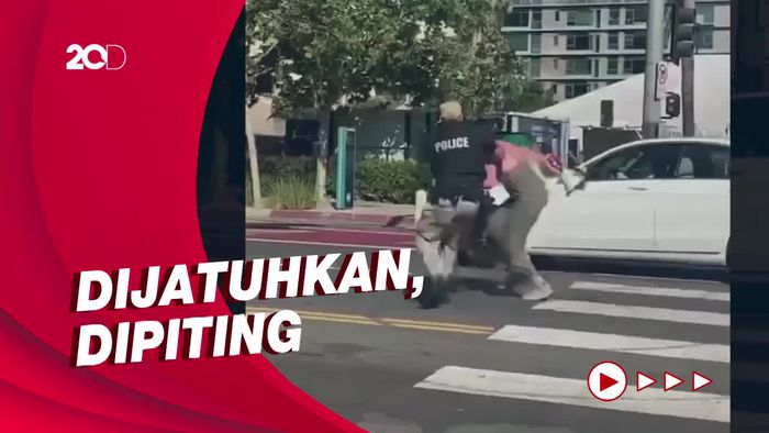 Agen Rahasia AS Sergap-Banting Wanita yang Cegat Rombongan Biden