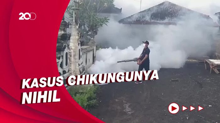 Waspada! Kasus DBD di Jembrana Bali Meningkat
