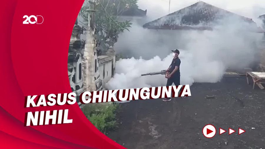 Waspada! Kasus DBD di Jembrana Bali Meningkat