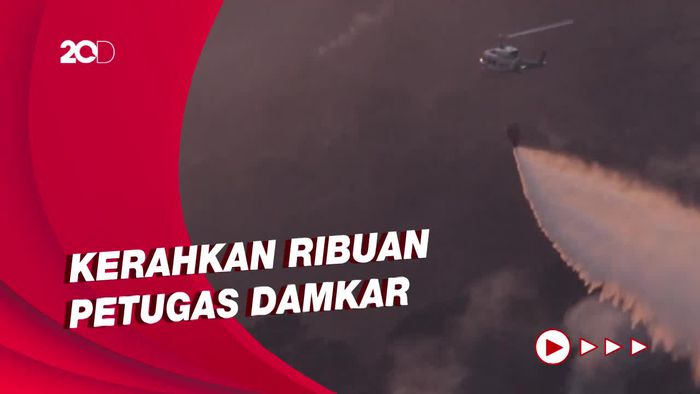 Kebakaran Hutan di Spanyol, Ribuan Warga Dievakuasi
