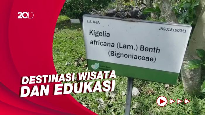 Jalan-jalan ke Kebun Raya Jagatnatha di Jembrana Bali