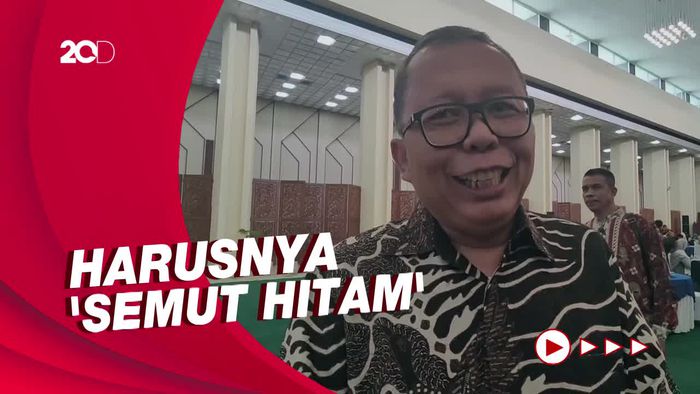 Waketum PPP soal Nama Koalisi Semut Merah: Suka Jalan Sendiri