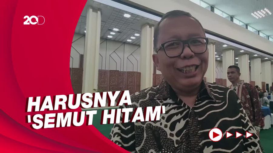 Waketum PPP soal Nama Koalisi Semut Merah: Suka Jalan Sendiri