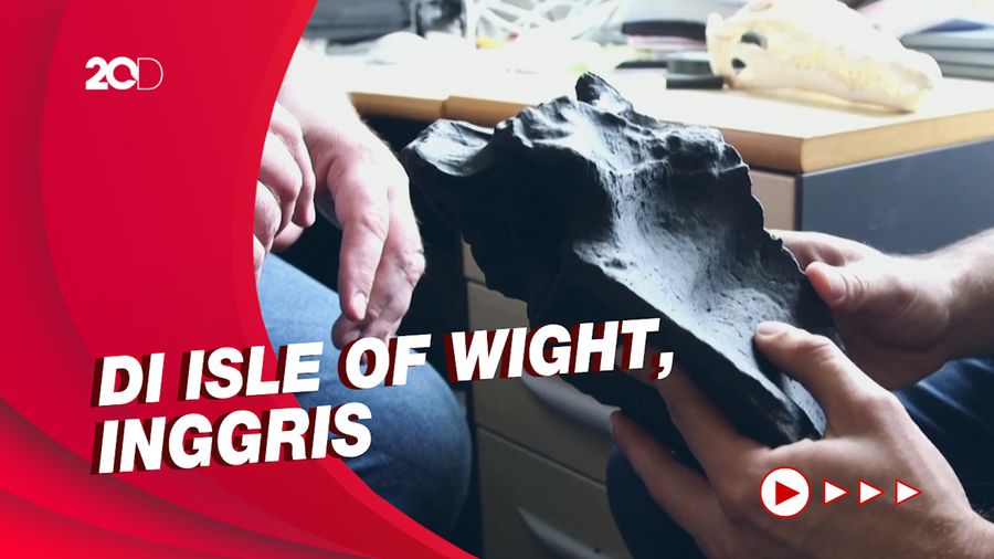Fosil Dinosaurus Karnivora Terbesar di Eropa Ditemukan