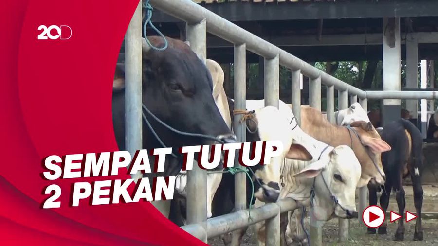Pasar Hewan di Purwakarta Kembali Buka, Harga Sapi Naik Jelang Idul Adha