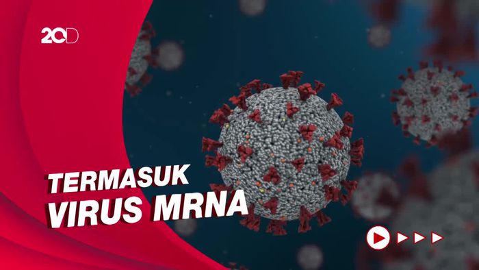 Muncul BA.4 dan BA.5, Ahli Jelaskan Alasan Covid-19 Terus Bermutasi