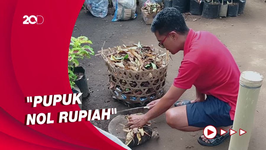 Pria di Bali Sulap Sampah Rumah Tangga Jadi Pupuk