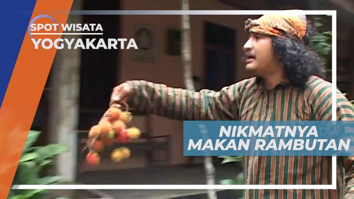 Menikmati Manisnya Buah Berambut yang Matang di Pohon, Yogyakarta