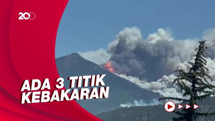 Kebakaran Hutan di Arizona, Ratusan Orang Dievakuasi  