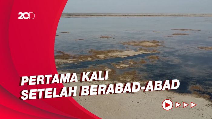 Penampakan Danau Sawa Irak Mengering di Tengah Krisis Air
