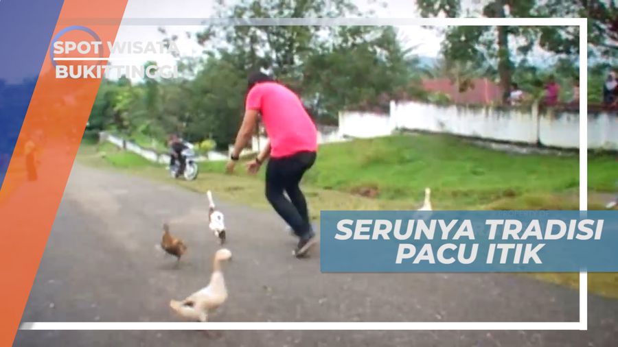 Pacu Itik, Mengikuti Tradisi Menerbangkan Itik Sejauh Mungkin, Bukittinggi