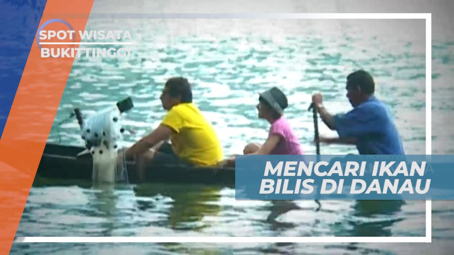 Danau Singkarak, Serunya Mencari Ikan Endemik di Pulau Sumatera, Bukittinggi