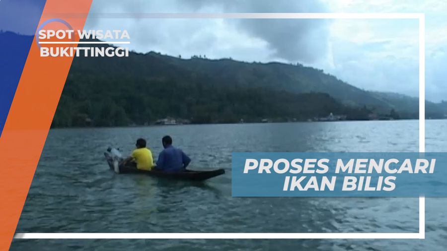 Ikan Bilis, Menyebar Jala di Tengah Danau Menungu Ikan Masuk Perangkap, Bukittinggi