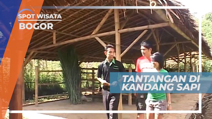Kejutan di Kandang Sapi, Bogor