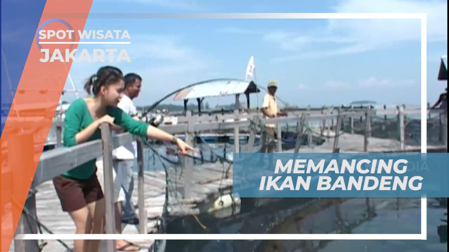 Adu Kekuatan dengan Ikan Bandeng, Jakarta