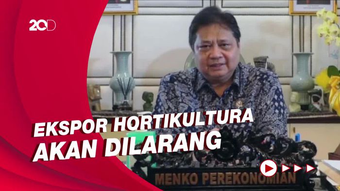 Airlangga Ungkap Alasan Pemerintah Tak Mau Declare Darurat PMK