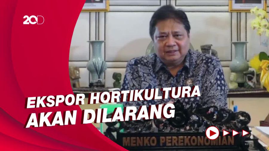 Airlangga Ungkap Alasan Pemerintah Tak Mau Declare Darurat PMK