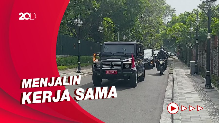 Momen Presiden Jerman Berkunjung ke Candi Borobudur