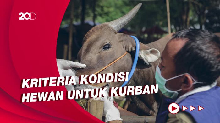 Beda Pandangan PBNU dan MUI soal Hukum Kurban Hewan Terjangkit PMK 