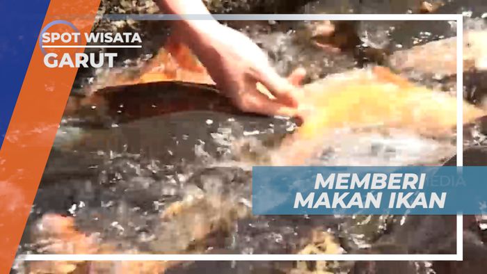 Keseruan Memberi Makan Ikan, Garut