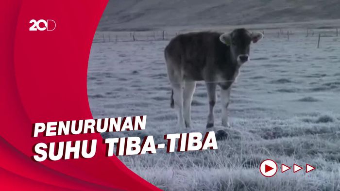 Peru Keluarkan Peringatan Penurunan Suhu Ekstrem