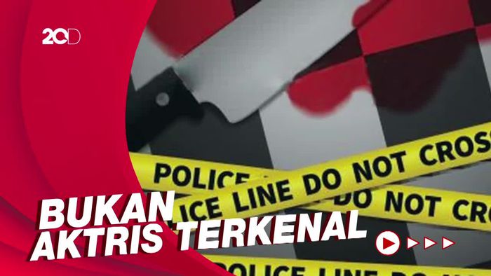 YouTuber Lee Jin Ho Ungkap Identitas Aktris Korea Yang Ditikam Suaminya