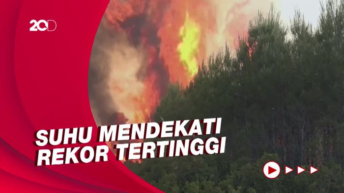 Kebakaran Hutan di Spanyol Meluas Akibat Gelombang Panas