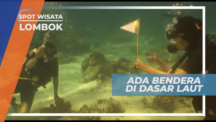 Pemandangan Indah Bawah Laut Gili Trawangan, Lombok