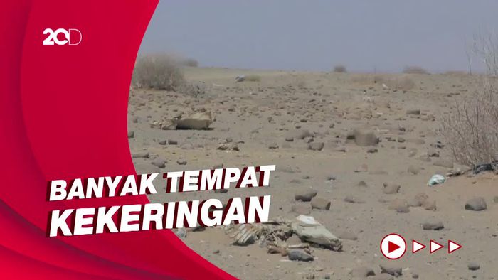 Perubahan Iklim Picu Kerawanan Pangan di Afrika